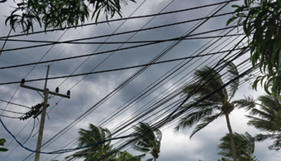 wind blown trees and power lines during storm